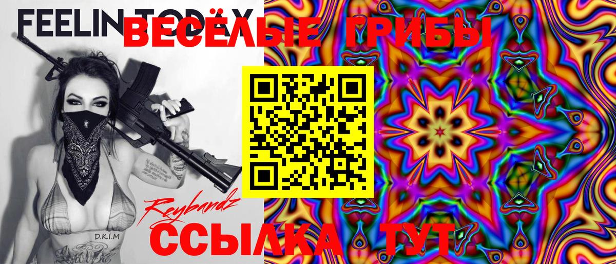 Галлюциногенные грибы Psilocybe Конаково