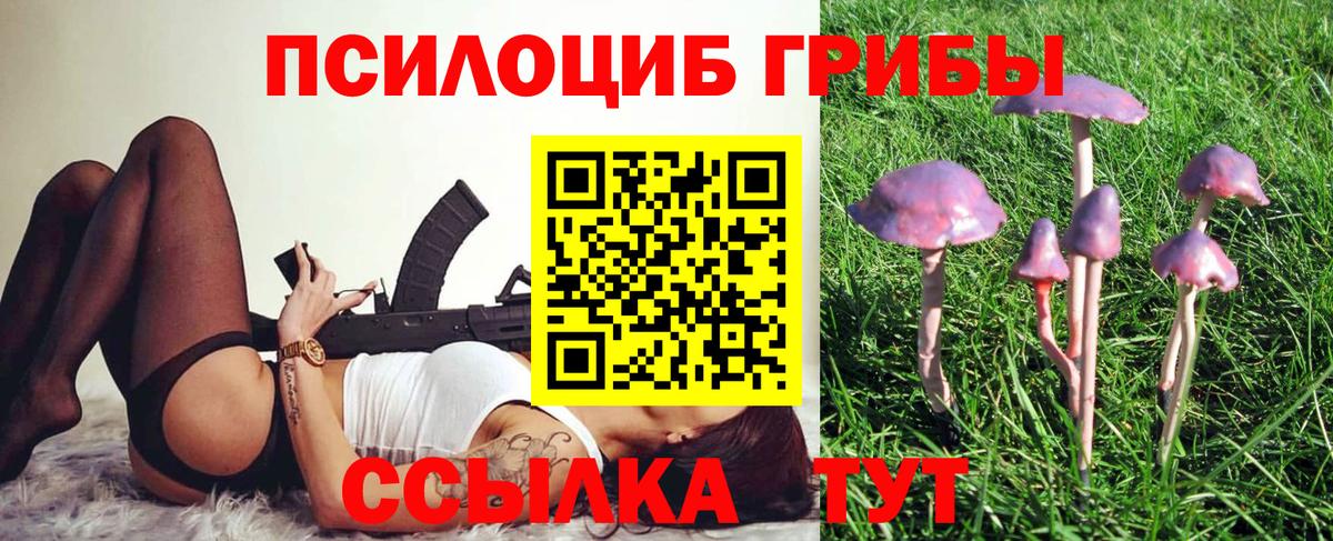 Конаково  Галлюциногенные грибы Cubensis  Вход с VPN  Галлюциногенные грибы Cubensis 
